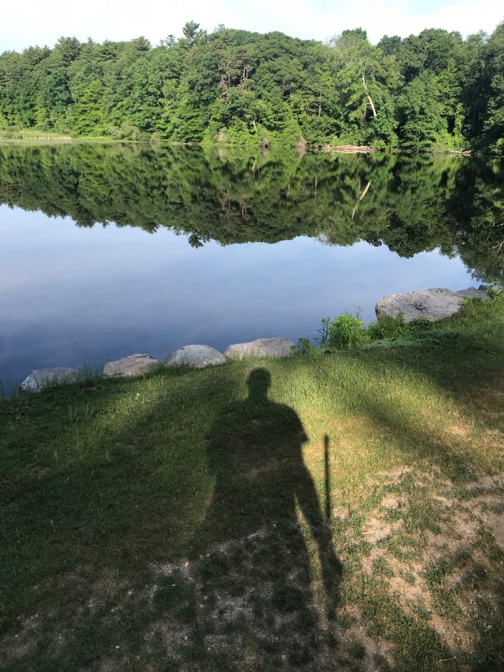 shadow in front of pond with stick